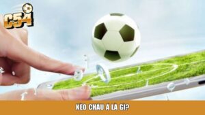 Tài Xỉu 1 Trái Là Gì? Hướng Dẫn Chi Tiết Cho Người Mới