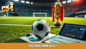 Tài Xỉu 1 Trái Là Gì? Hướng Dẫn Chi Tiết Cho Người Mới