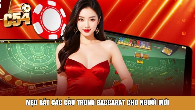 Mẹo bắt các cầu trong baccarat cho người mới