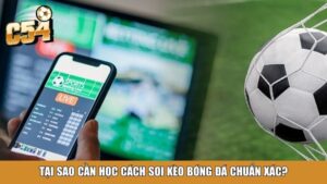 Tài Xỉu 1 Trái Là Gì? Hướng Dẫn Chi Tiết Cho Người Mới